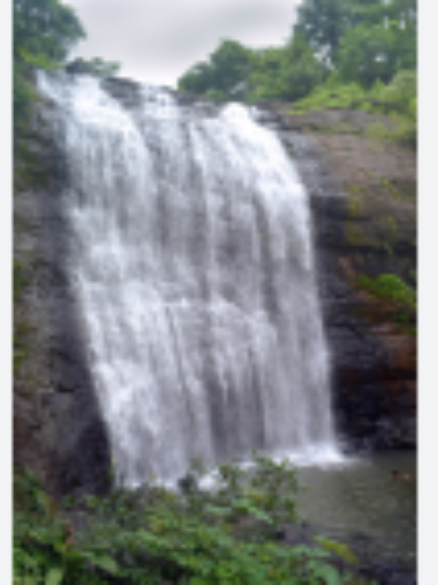 Best Hill Stations in India to Visit in August