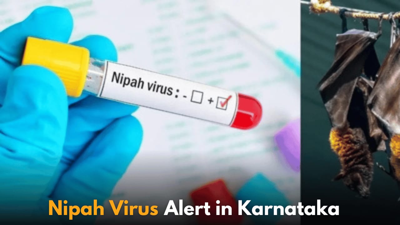Karnataka on High Alert After Nipah Virus Death in Kerala, 41 Contacts Quarantined