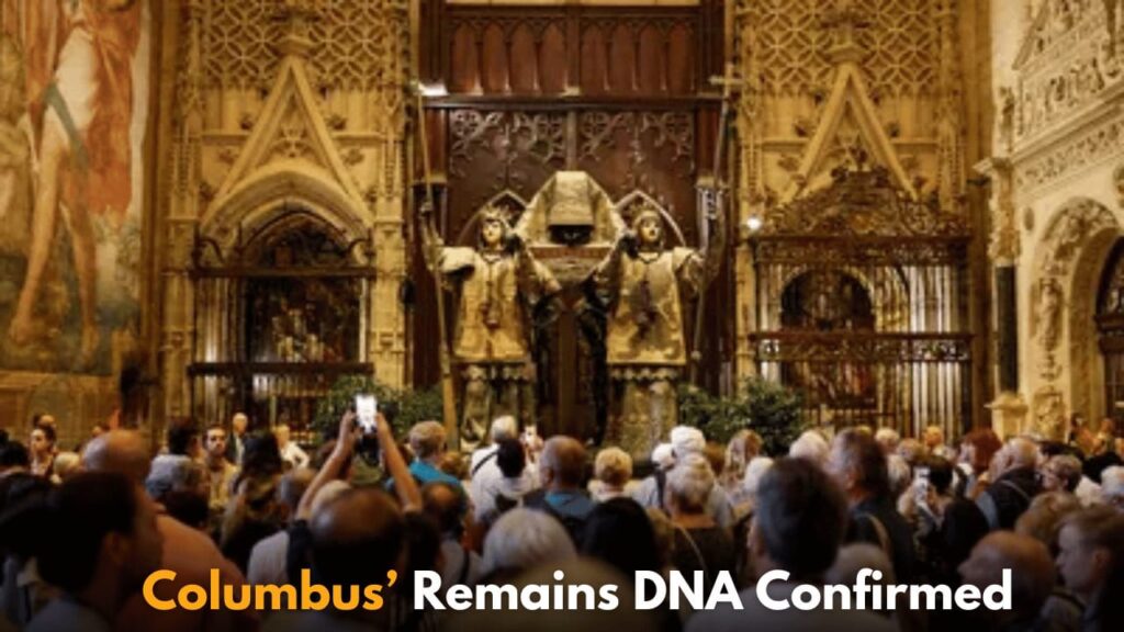 DNA Confirms Christopher Columbus’ Remains in Seville, Solving 500-Year-Old Mystery