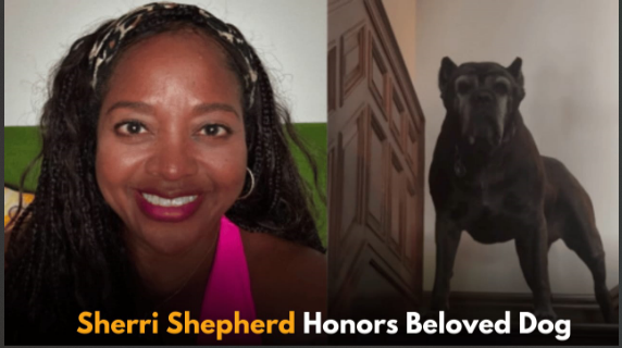 Sherri Shepherd Shares Heartfelt Tribute to Beloved Dog Lexi, Reflects on Emotional Farewell