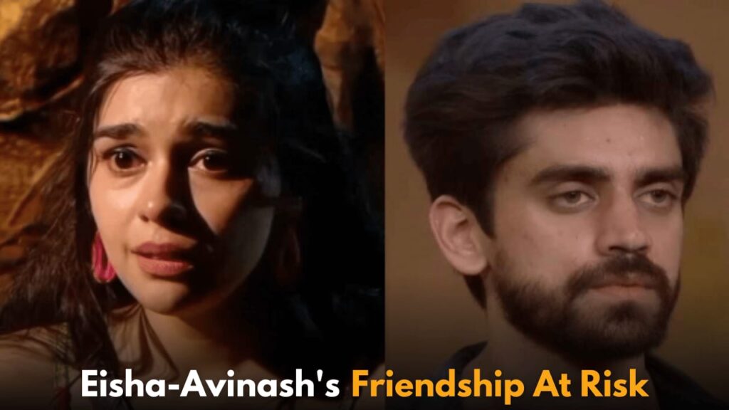 Bigg Boss 18: Eisha Singh and Avinash Mishra's Friendship Tested in New Promo