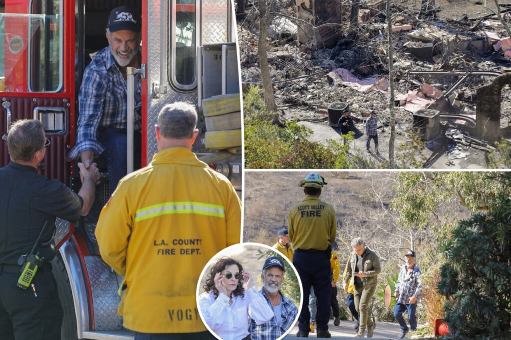 Mel Gibson's Malibu Home Destroyed in California Wildfires, But Pets Survive