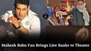 Mahesh Babu Fan Brings Live Snake to Khaleja Movie Screening, Causes Panic in Theater