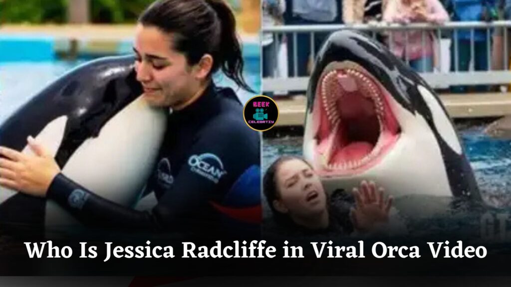 Who Is Jessica Radcliffe, the Woman in the Fake Viral Orca Attack Video That Fooled Millions