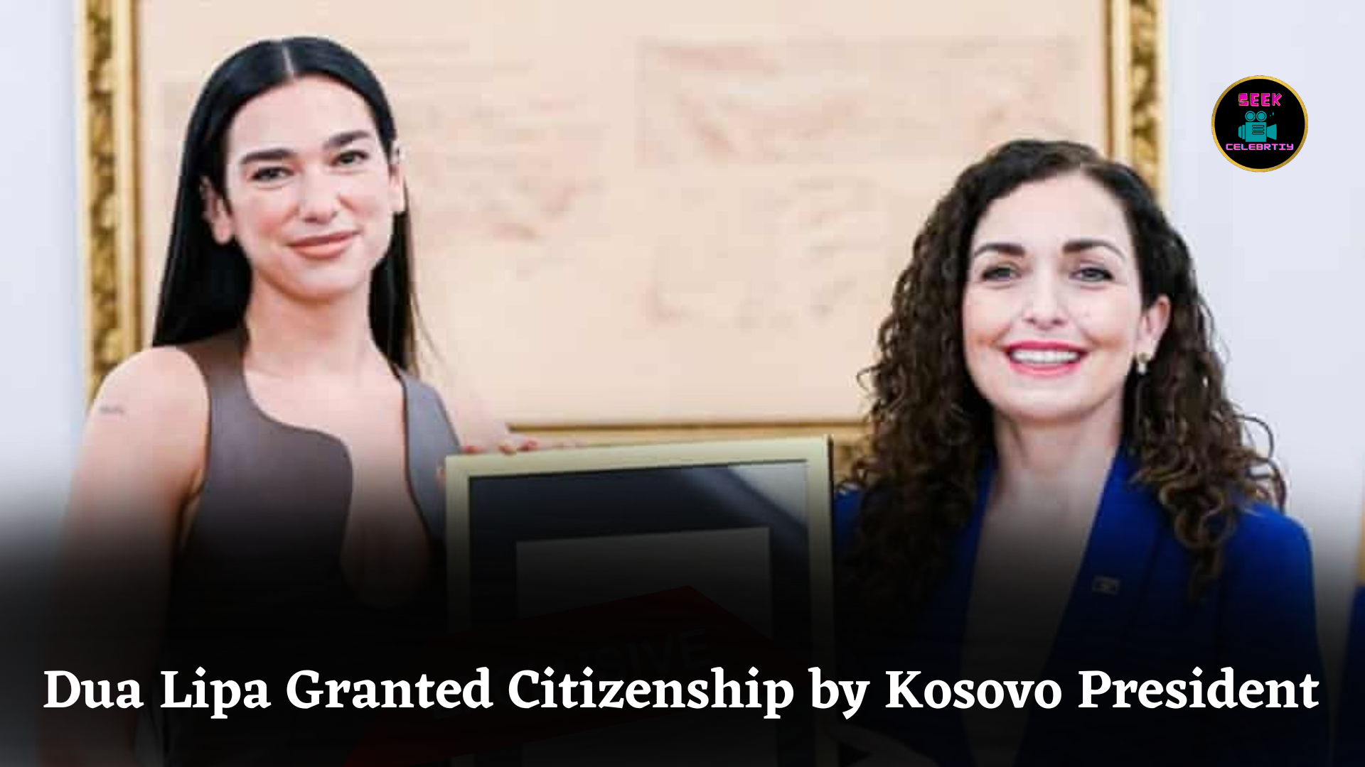 Dua Lipa Granted Citizenship by Kosovo President