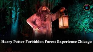 Harry Potter: Forbidden Forest Experience Debuts in Chicago, Fans Can Cast Spells and Explore Magic