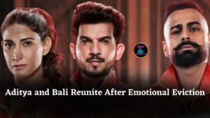 Aditya Narayan and Bali Reunite with Emotional Hug After Shocking Double Eviction in Rise and Fall