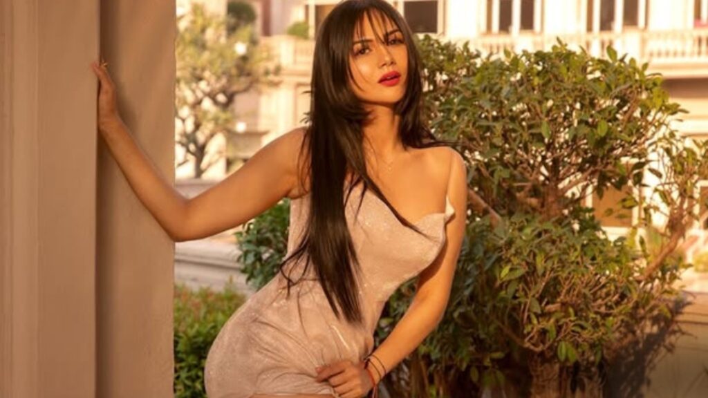 Akanksha Chamola Breaks Silence on Shooting Intimate Scenes for Upcoming TV Show Dil Dhokha Aur Desire