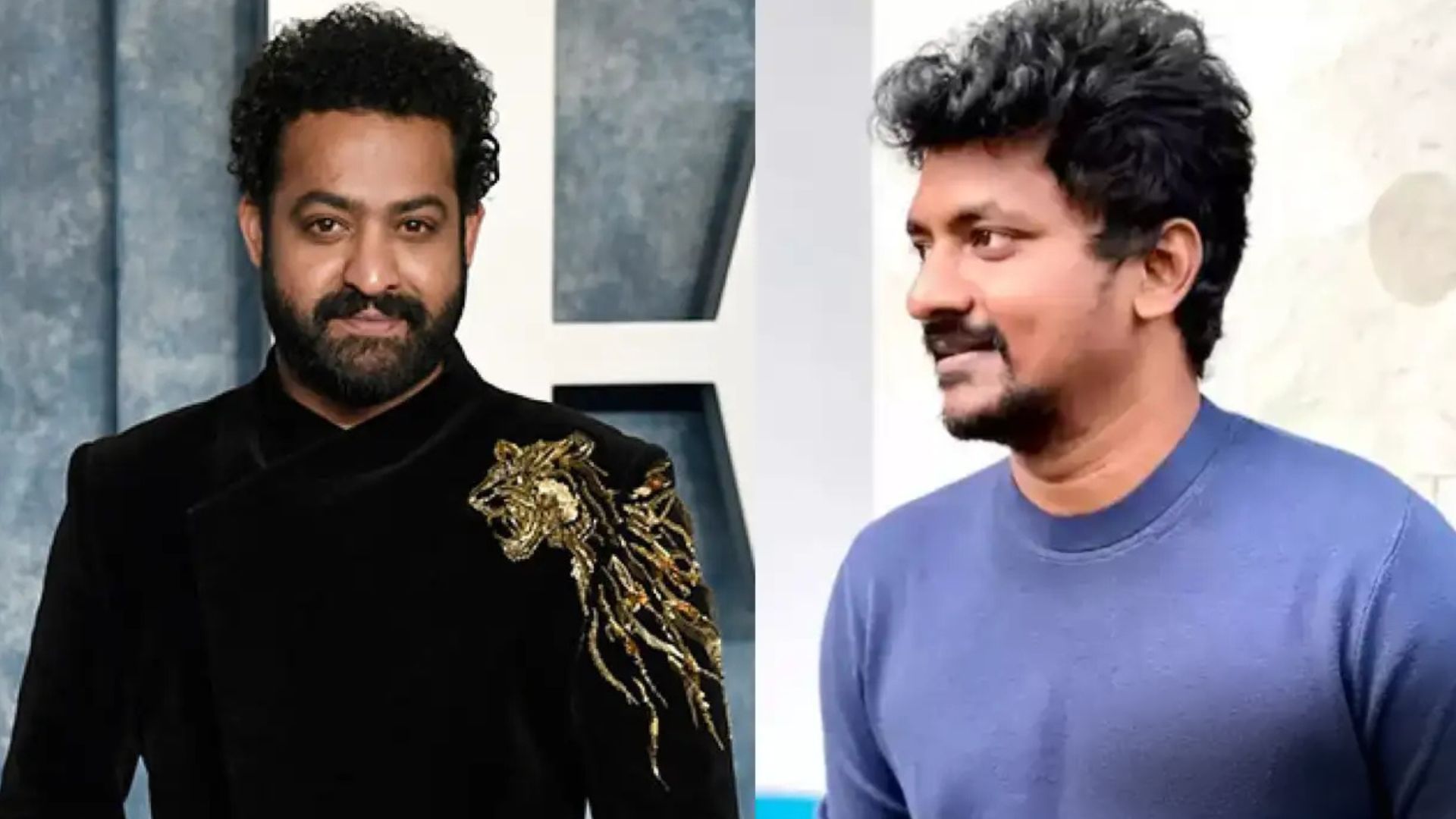 Is Jailer 2 Director Nelson Dilipkumar Set to Make His Telugu Debut with Jr NTR?