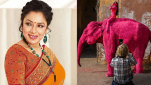 Rupali Ganguly Urges PM Modi to Ban Elephant Rides